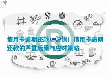 逾期还款后，信用卡的全面影响解析与避免策略