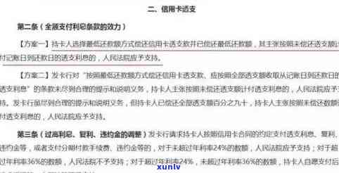 如何举报信用卡欠款：详细步骤与注意事项，确保你的权益得到保障