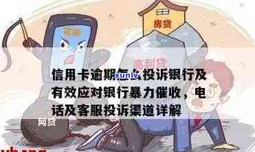 信用卡逾期投诉怎么解决