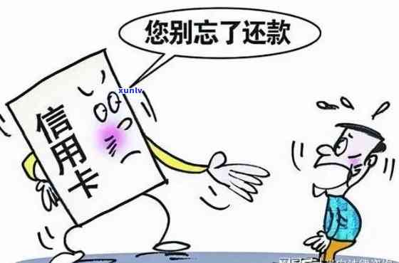 信用卡逾期后的还款协商与律师期服务：多久可以实现？