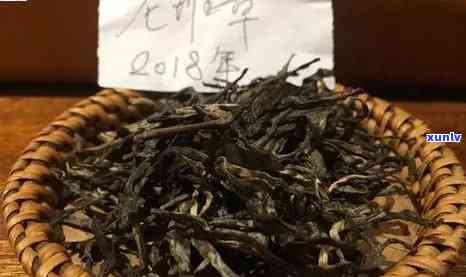 云南普洱百年老树茶价格表与年份大全：云南千年普洱老树介绍