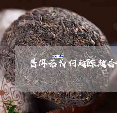 三种普洱茶越陈越香的科学依据与口感品质特征