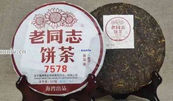 年份与品质并重：老同志7568普洱茶解析