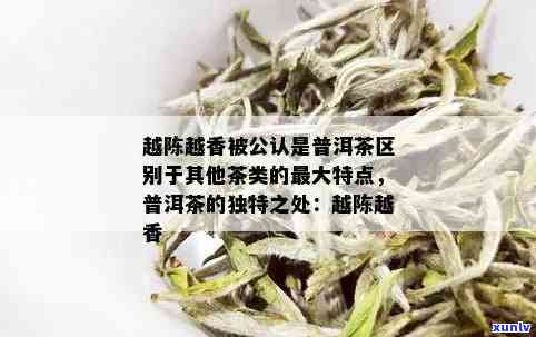 越陈越香普洱茶生茶价格及特点：探讨其作为普洱茶更大特点的原因与分类