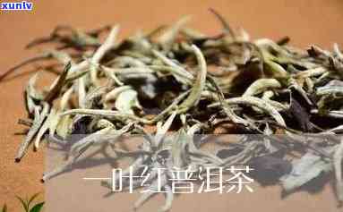 一叶红茶叶普洱茶饼