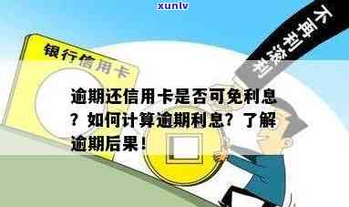 信用卡逾期后是否能免除利息？逾期后如何处理以避免额外费用？