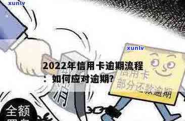 2022年信用卡逾期问题解决全攻略：政策详解、最新步骤、用卡注意事项