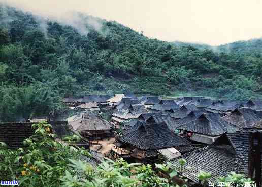 普洱茶百山百味：探寻不同寨子的独特风味与文化背景