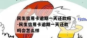 民生信用卡更低还款逾期