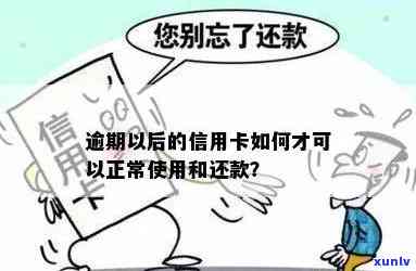 信用卡逾期后，借记卡是否可以正常使用？逾期款项如何还清？