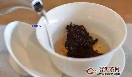 普洱茶多长时间一泡