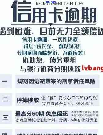 信用卡欠款法院调解程序全面解析：我需要出席吗？调解过程是怎样的？