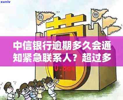 中信信用卡逾期后多久会联系紧急联系人？了解逾期处理流程及相关注意事项