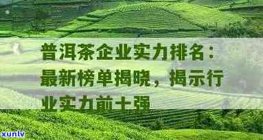 云南普洱茶厂全方位排名：百强茶叶企业揭秘，品质与声誉并存的佳选指南