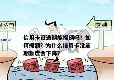 信用卡经常逾期不提额会怎么样-信用卡经常逾期不提额会怎么样吗