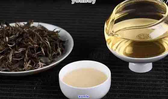 普洱茶之一人：谁是普洱茶之和？普洱茶之一是什么？