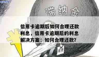 信用卡逾期利息问题的全面解决方案：理解、避免和合理应对