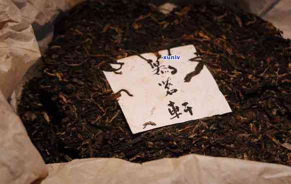 景迈山普洱茶熟喝生