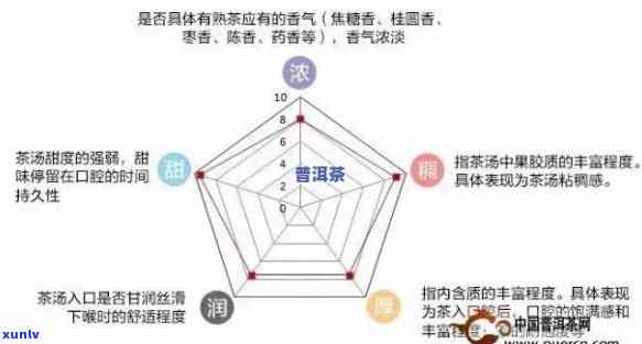 熟普洱茶色深度解读：一款茶的多元香气与口感解析