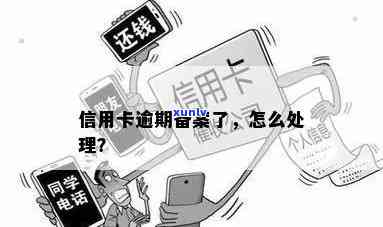 信用卡逾期提交备案材料是什么流程？