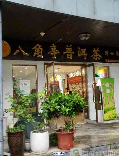 八角亭普洱茶柳州店