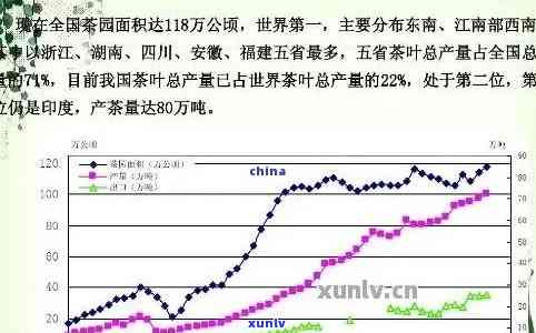 普洱茶一年产量：大约有多少？