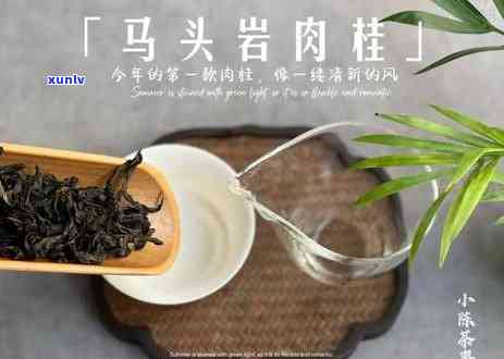  喝茶缓解口苦的奥秘，你知道吗？