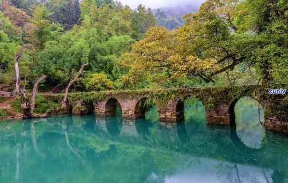 荔波百科：探索贵州荔波县的自然风光、历史文化和旅游景点