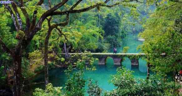 荔波百科：探索贵州荔波县的自然风光、历史文化和旅游景点