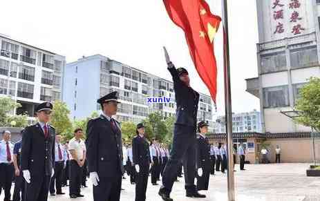 普洱茶树价格：一株普洱茶树的成本及购买渠道全面解析