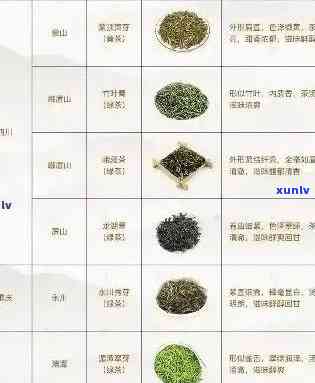 普洱茶品种大全及价格：最全普洱茶叶品种推荐