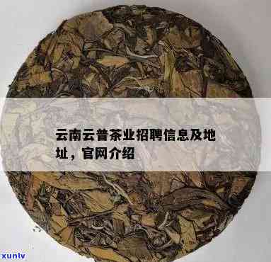 运动时喝普洱茶好吗？女生，男生，对身体好吗？能喝吗？