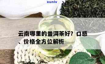 云南普洱茶一口料的价格分析：批发与的影响