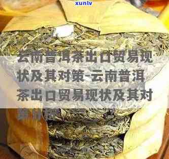 云南省普洱茶出口国