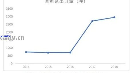 普洱饼茶一斤价格：合适与市场趋势分析