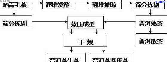 普洱茶膏的生产流程