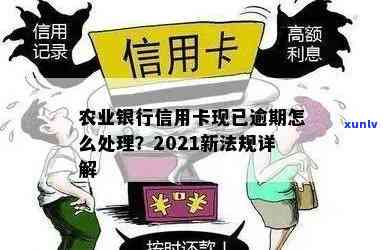 农业信用卡逾期解决方案全方位解析：如何避免、应对及消除逾期记录