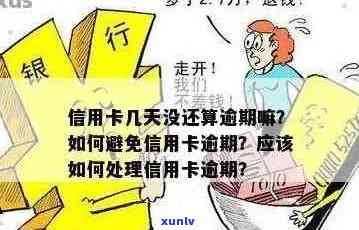 信用卡逾期怎么处理没钱