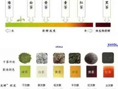 探索黑色普洱茶的世界：产地、品种、冲泡与品鉴全解析