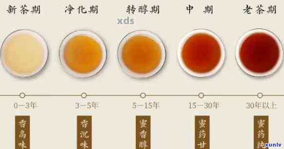 探究大益普洱茶十年陈化价格及品质变化：一份全方位分析