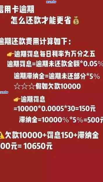 信用卡逾期后如何查询本金剩余金额及解决 *** ，全面了解还款详情