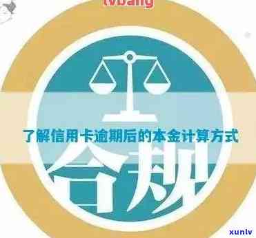 信用卡逾期后如何查询本金剩余金额及解决 *** ，全面了解还款详情