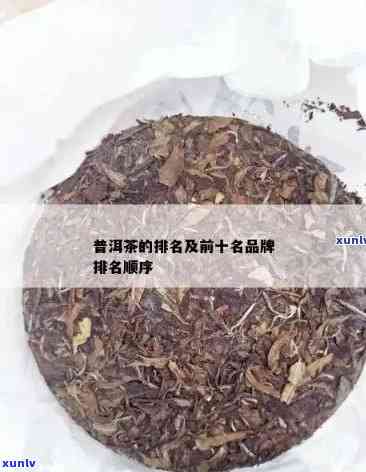 普洱茶口碑十大排名最新：全方位指南帮助您挑选优质茶叶