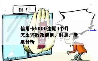 逾期3年的5000信用卡债务处理与信用修复策略