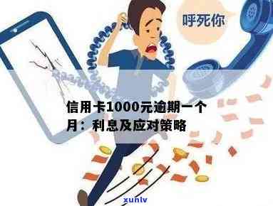 信用卡逾期1000多元的解决策略：不容忽视的步骤与建议