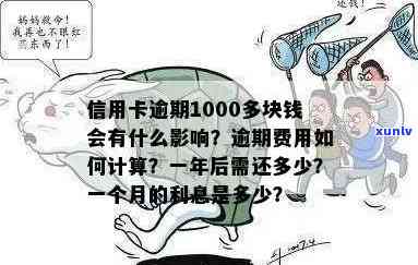 信用卡逾期1000多元的解决策略：不容忽视的步骤与建议