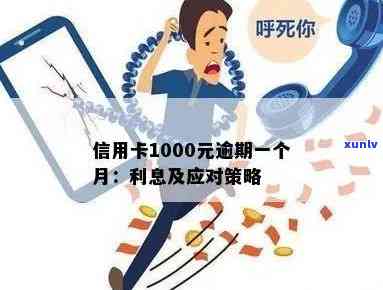 信用卡逾期1000多元会产生哪些后果？逾期还款的全面解析与应对策略