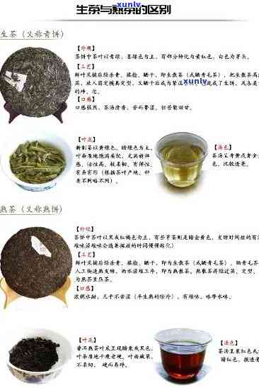 檽香普洱茶：品茗指南、功效与泡法详解，助你成为普洱茶专家