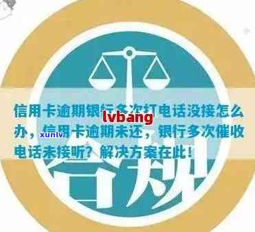 小沱普洱茶购买指南：如何挑选、品鉴和存，全方位解决用户疑问