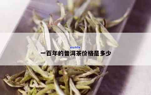 百年以上的普洱茶的价格-百年以上的普洱茶的价格是多少